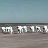 1997 compleet Strand-training.avi_000498013